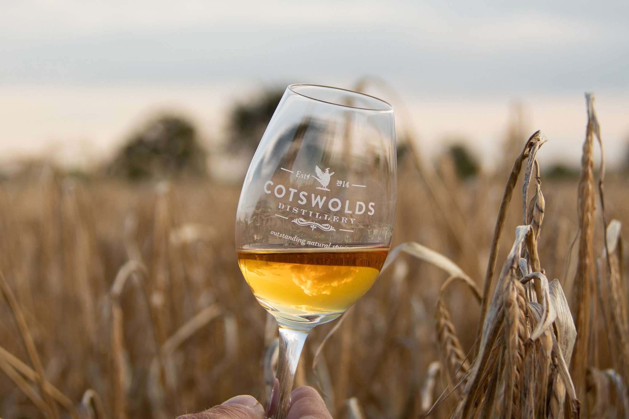 Cotswolds Distillery